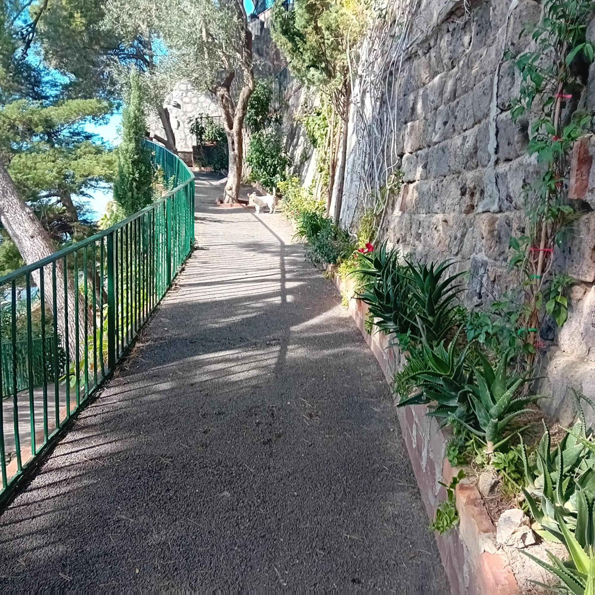 Villa La Galetta Vico Equense Kültér fotó