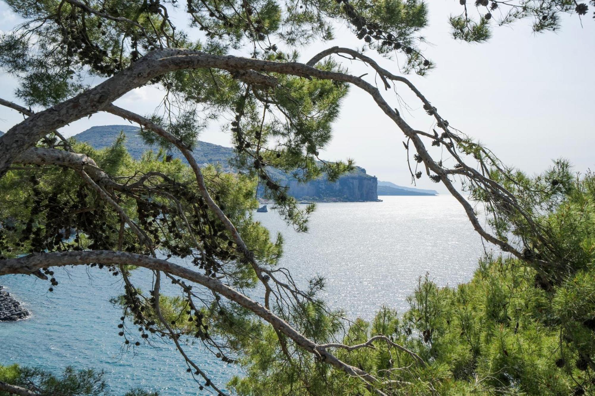 Villa La Galetta Vico Equense Kültér fotó
